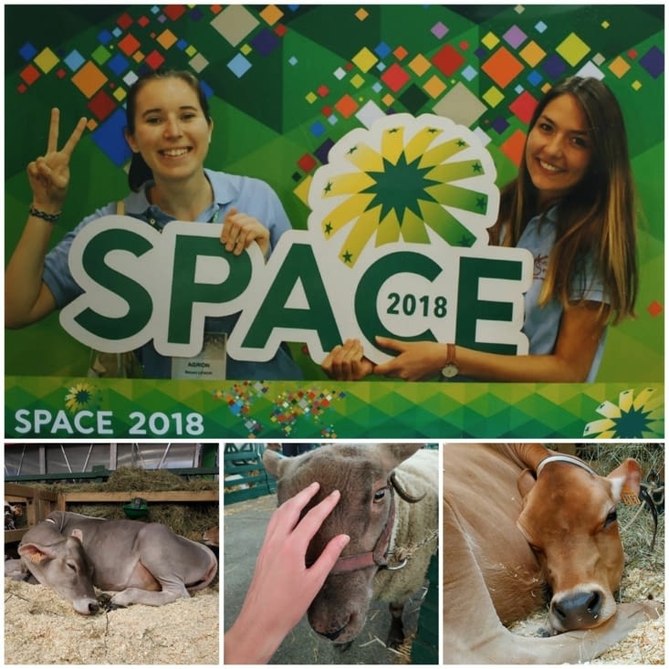 The Space:  The international exhibition of animal productions !
