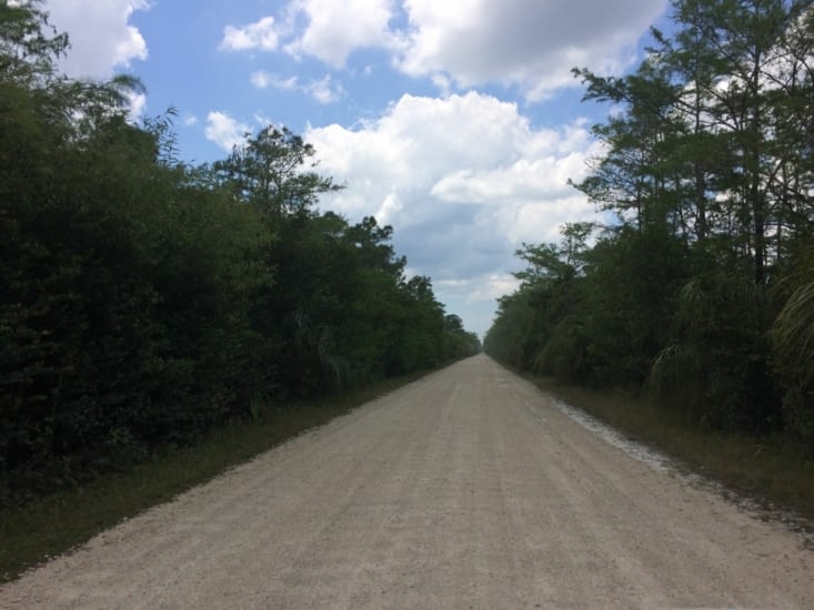 La Loop Road dans les Everglades