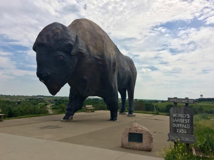 Jean-Roger, aka le plus grand bison du monde