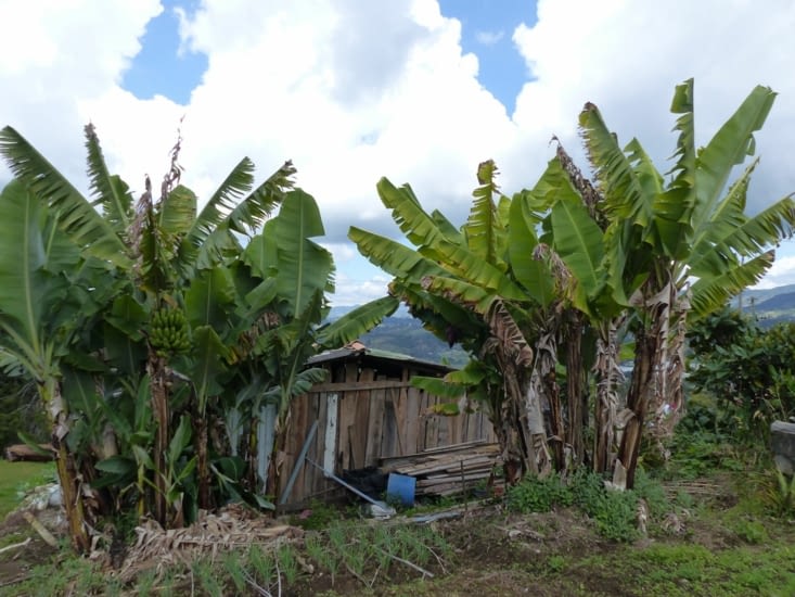 Balade dans le RioNegro