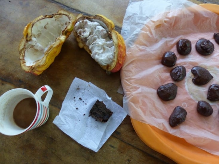 Les dérivés du cacao