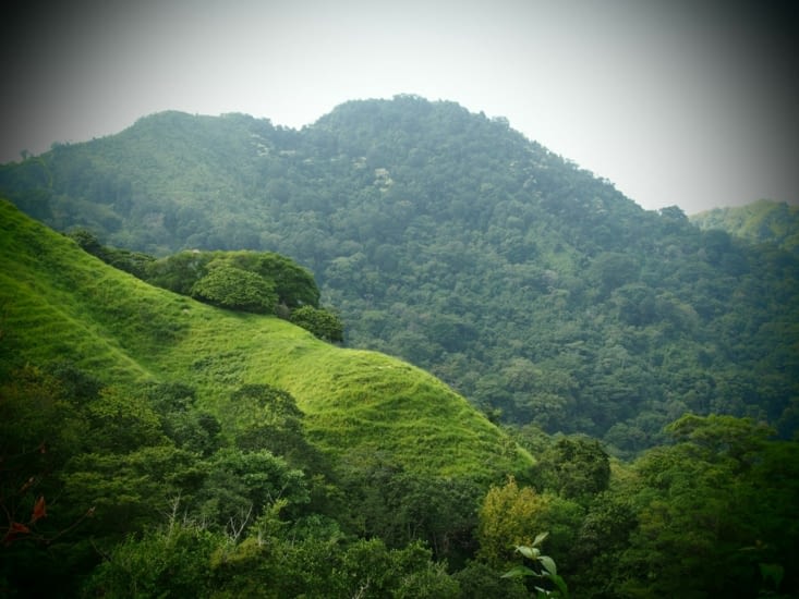 Sur la route entre Paso del Mango et Minca