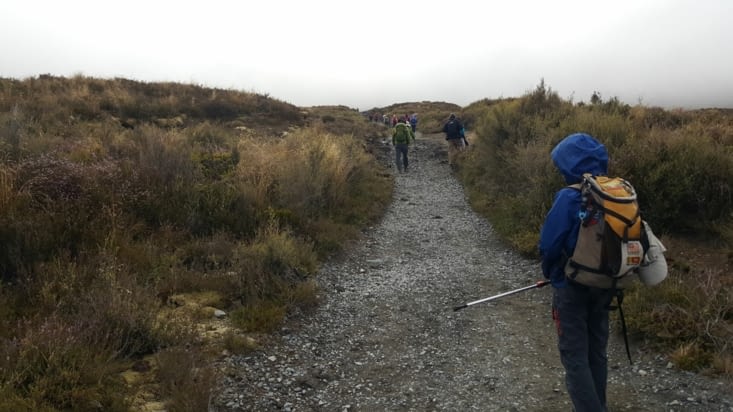 Du monde et de la brume