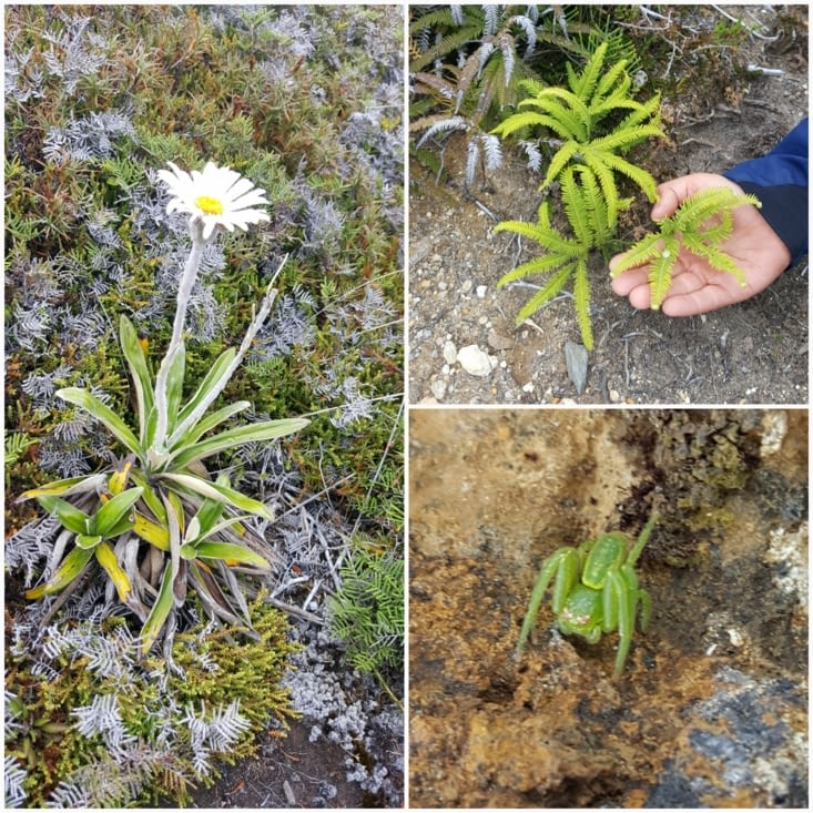 Parce que nous prenons aussi le temps d'observer