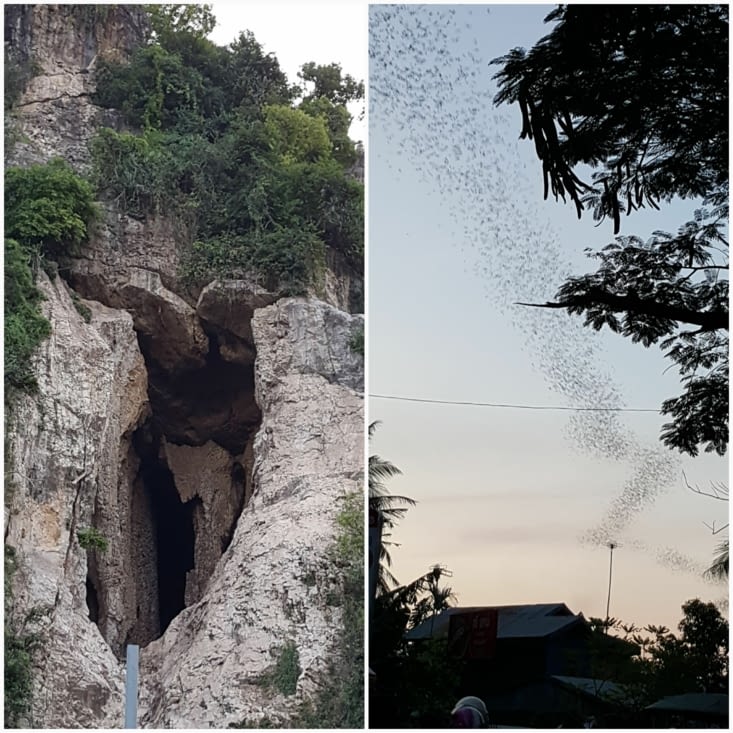Les Bat Caves