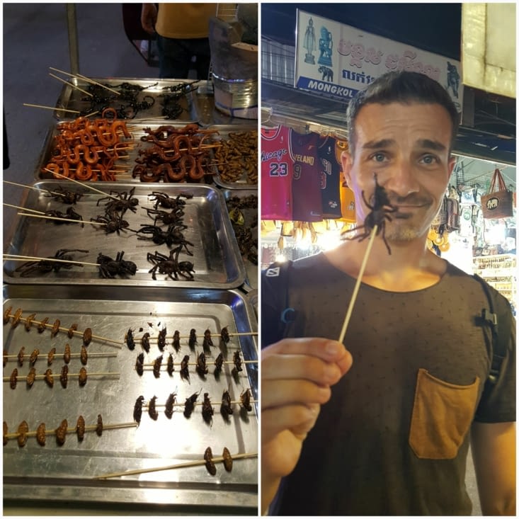 Les brochettes d'insectes