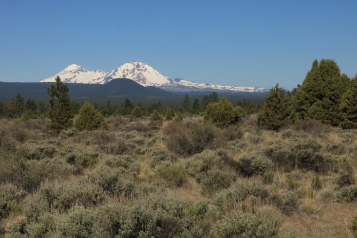 La neige et le désert, en même temps
