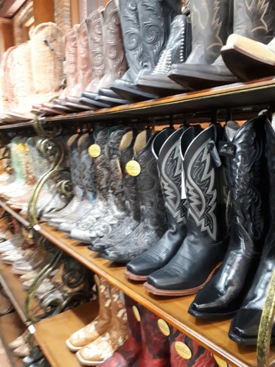 L'embarras du choix...