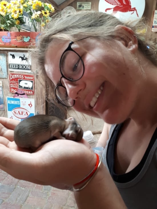 Jeannot Lapin - quand on croyait encore qu'il allait tenir le coup