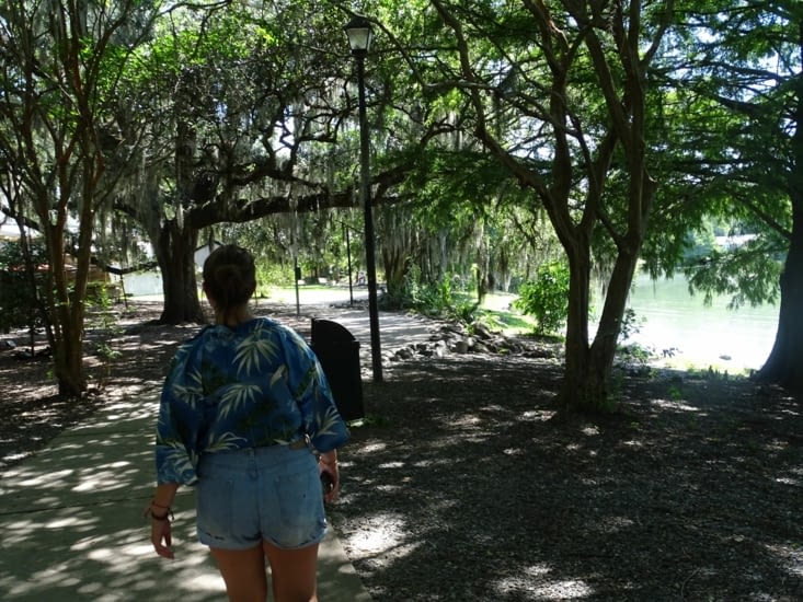 Le lac, et les feuillages tombants typiques de la Floride