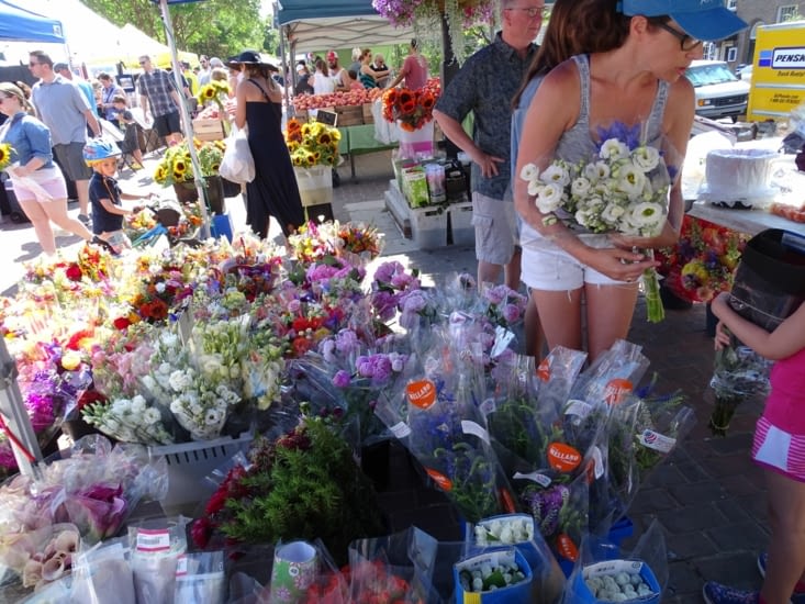 Les fleurs du marché
