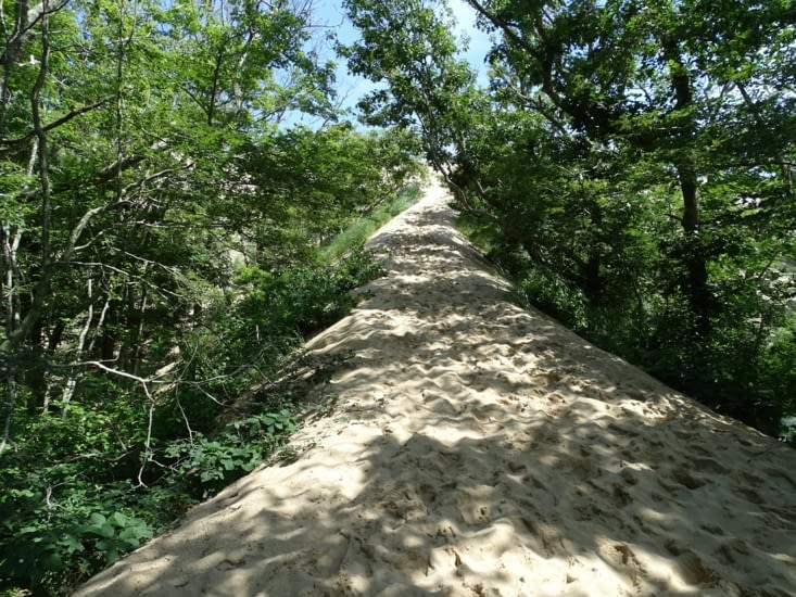 Le chemin des dunes