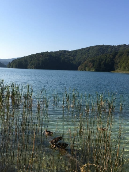 Parc de Plitvice