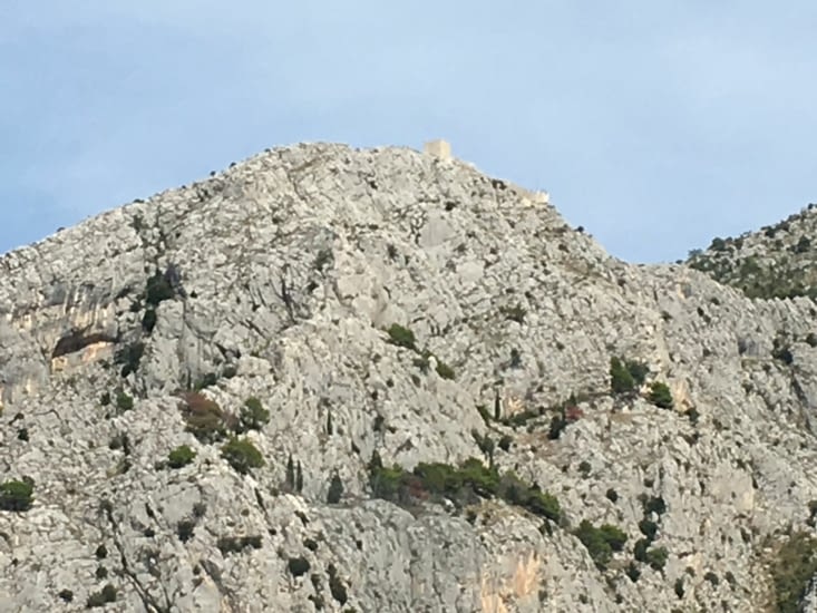 Omis