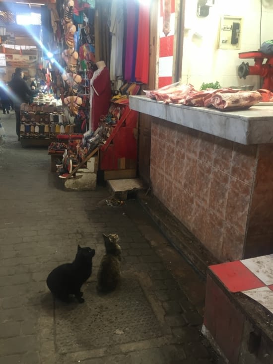 Ces 2 là se disent que quelque chose finira bien par tomber?