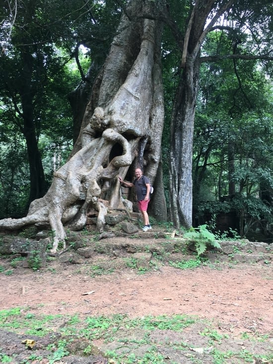 Jean au pied d'un fromager