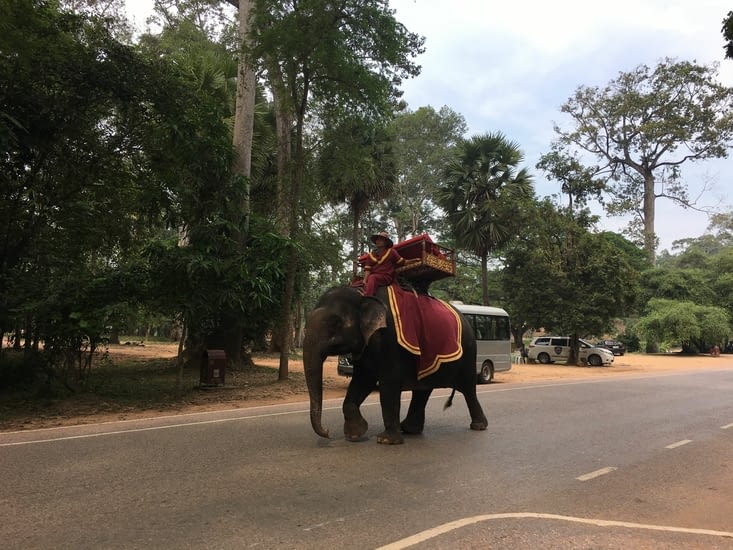 Croisé dans Angkor
