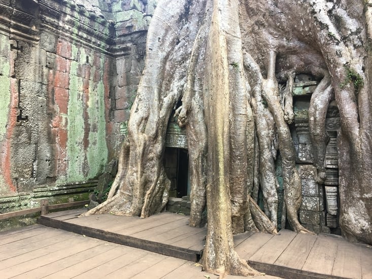 Faire une photo sans touriste dans ce temple est un exploit