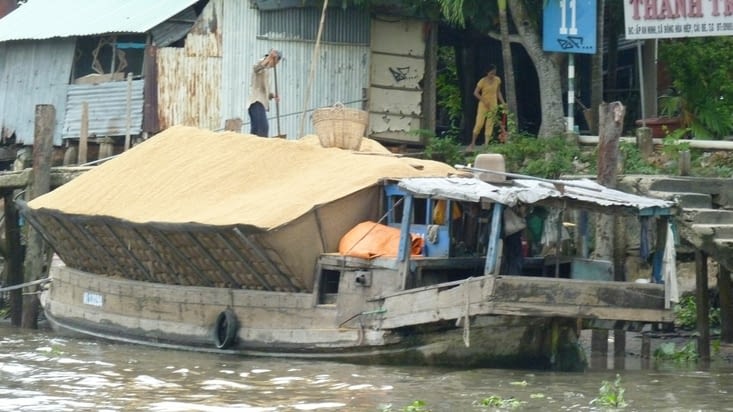 Transport de coques de riz