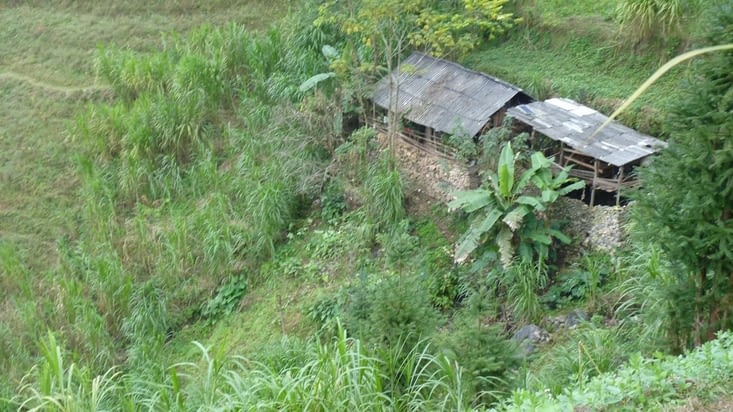 Habitation Hmong