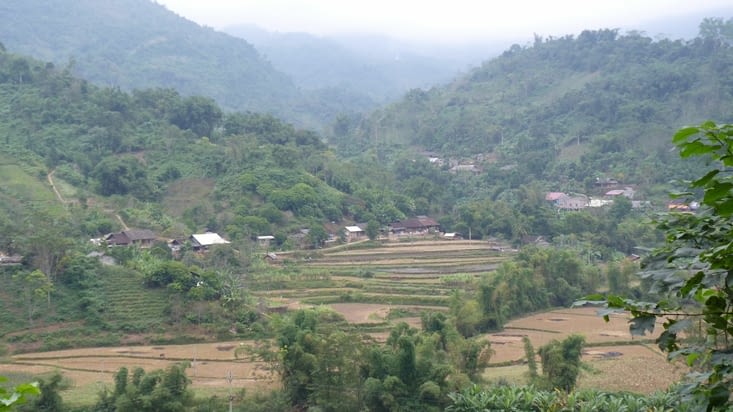 Village Tay et ses cultures en terrasse