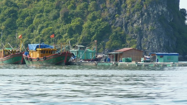Le port de pêcheur au nord de Halong