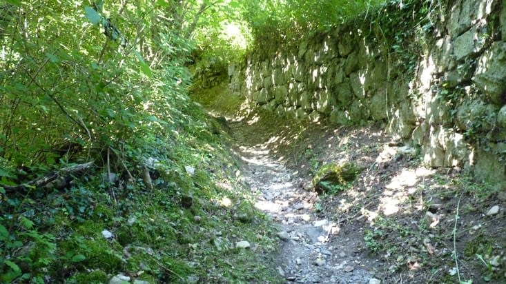 Sentier bordé de murs en pierre sèche.
