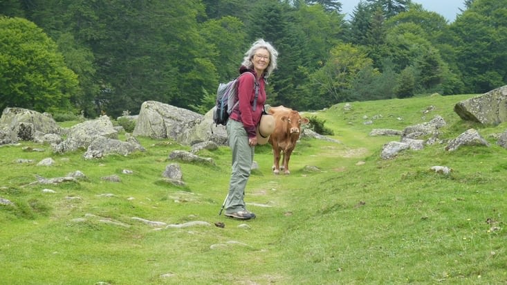 Claudette a adoré trouver cette vache au milieu de son chemin :D