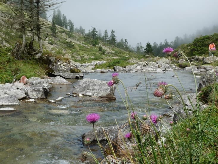 La Fruitière et le gave du Lutour