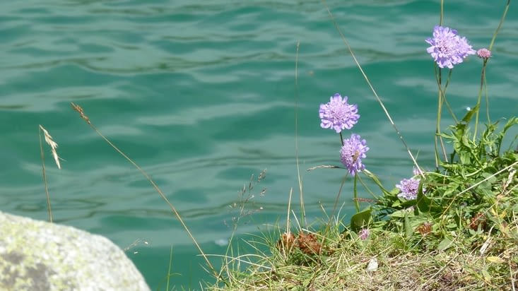 Lac de Gaube, que du bonheur