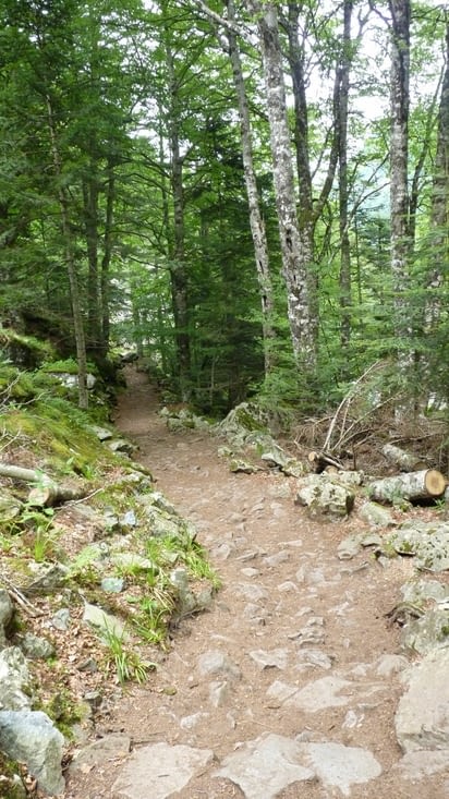 Nous avons repris le même chemin pour redescendre.
