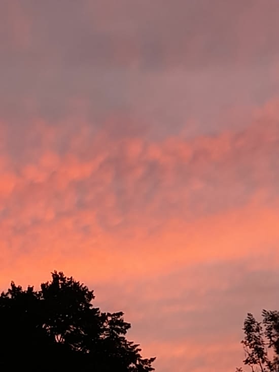 Fin d'une belle journée