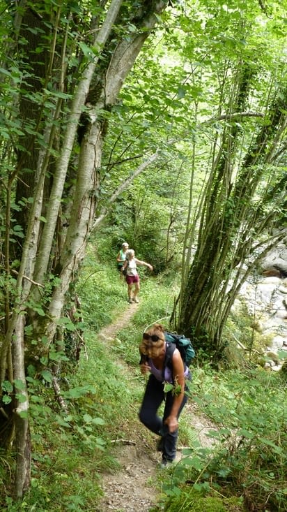 Pas d'ours Zabou? t'es sûre?