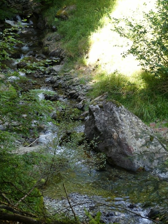 Le ruisseau de Baricave