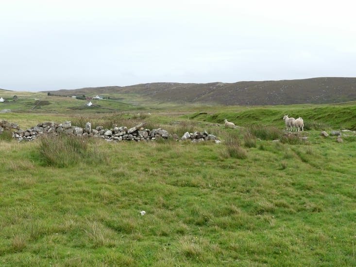 Des moutons et un habitat trés dispersé