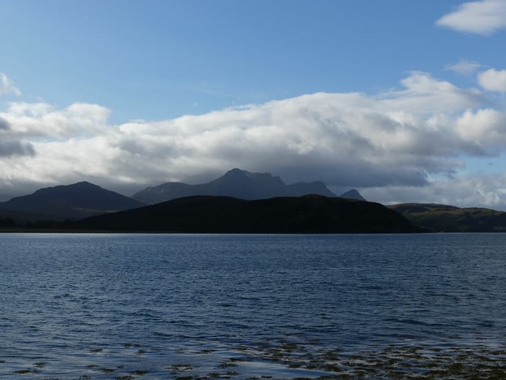 Ben Loyal