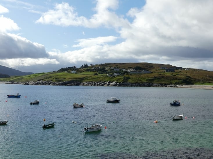 Talmine
