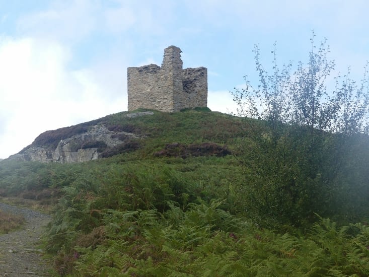 Tongue - Château Varrich
