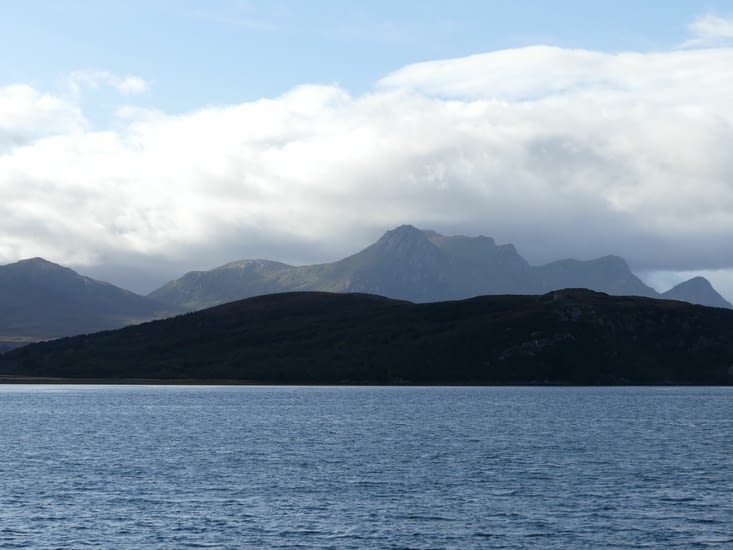 Ben Loyal