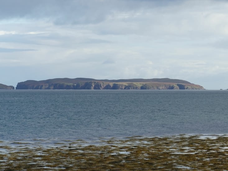 Rabbit Island