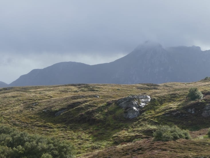 Ben Loyal