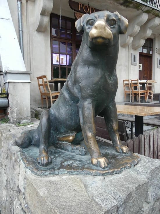 Lui on a présumé qu'il faut lui toucher le museau!