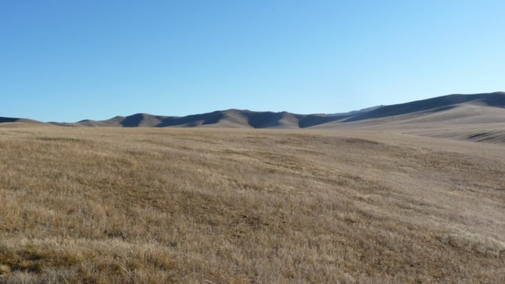 La steppe herbeuse