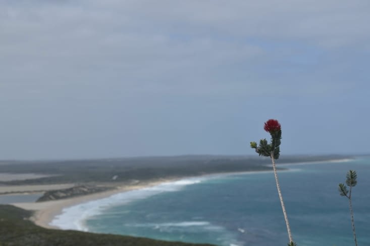 Tentative de photo cliché du voyageur proche de la nature et romantique sur fond de mer, avec une fleur pas belle, et pas de soleil. = ECHEC ! haha !