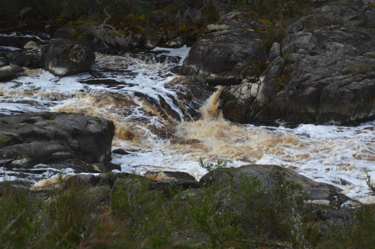 Alors ? C'est nous qui sommes fous ou ....?