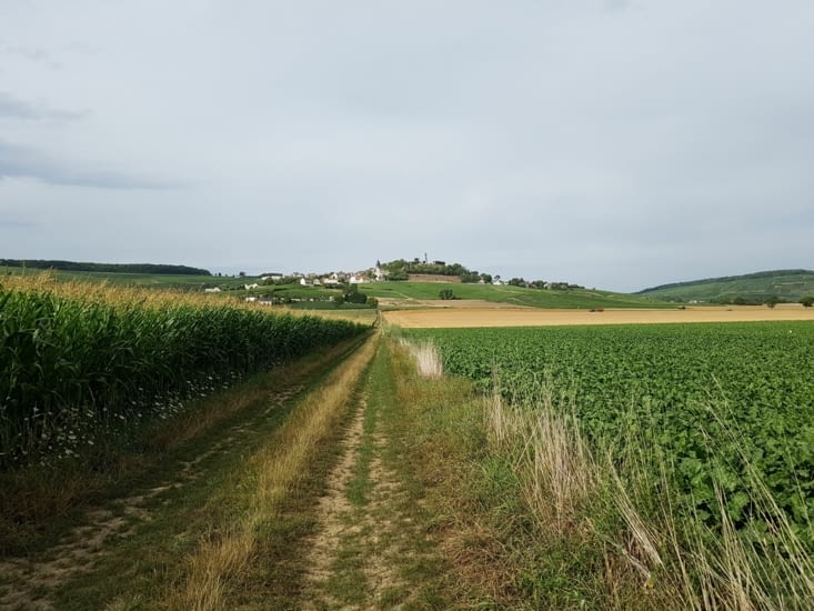 Le Pape Urbain II dominant la vallée