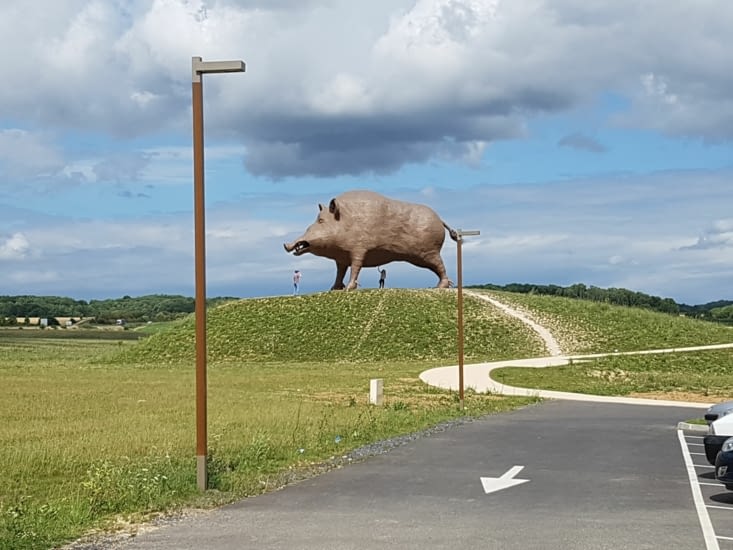 Les sangliers des Ardennes, mythe ou réalité ?