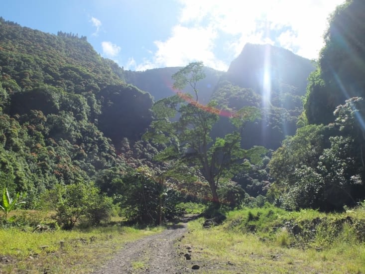 On se croirait dans Jurassic park :)