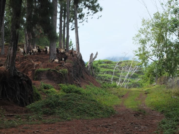 sacré comité d'accueil!