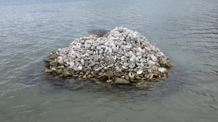 Un tas de bénitiers